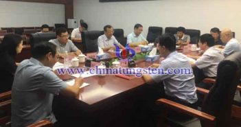 鎢協會長丁學全一行到江西調研圖片