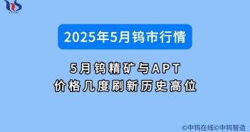 2025年5月鎢價行情如何