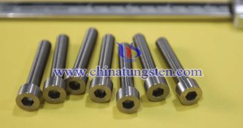 Tungsten Alloy Screw photo