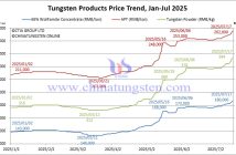 Tungsten Price Trend from January to July 17, 2025