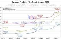 Tungsten Price Trend from January to August 19, 2025
