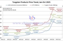 Tungsten Price Trend from January to October 22, 2025