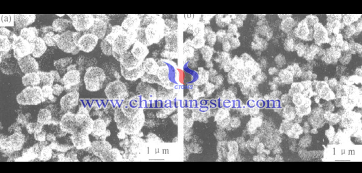 用藍鎢制取的研磨態(tài)鎢粉的SEM形貌