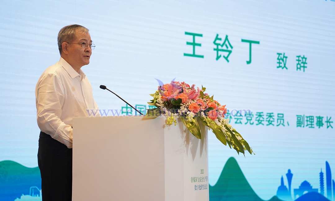 中國(guó)職業(yè)安全健康協(xié)會(huì)黨委委員、副理事長(zhǎng) 王鈴丁